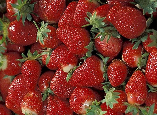 strawberries jam